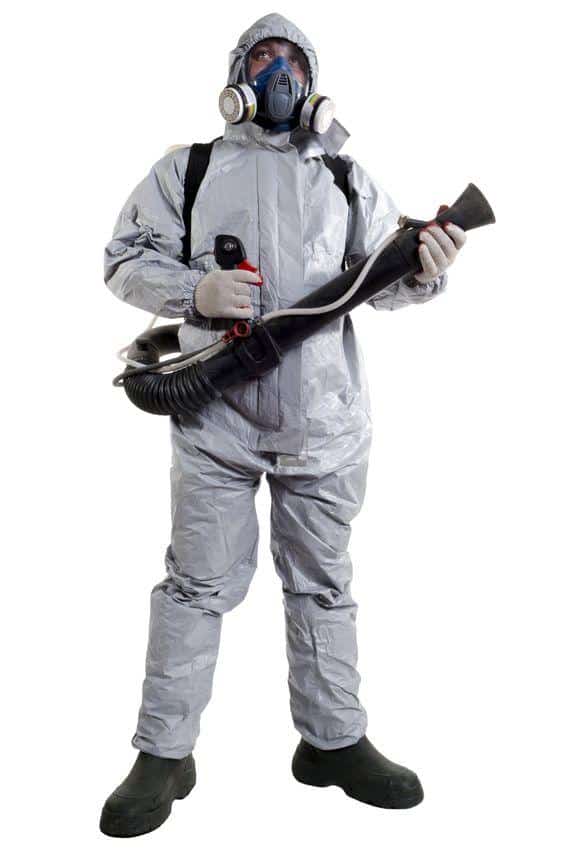 tecnico disinfestatore