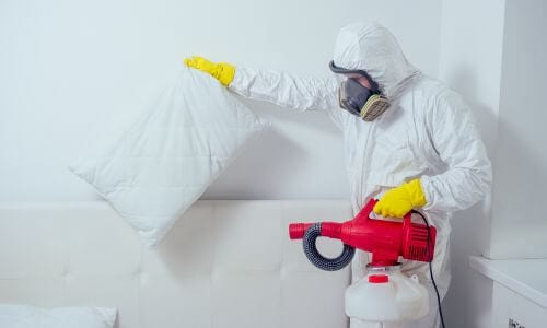 La disinfezione è un processo che mira a eliminare batteri, virus e altri microrganismi patogeni da un'area o da oggetti